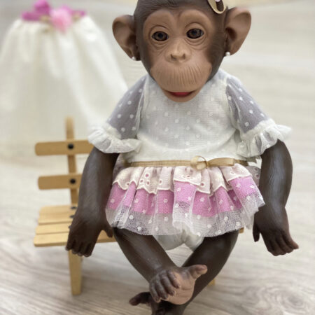 Mi Bebé Reborn Chimpancé - Erika Muñecas